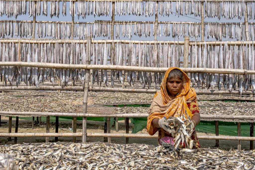Authentic Cox's Bazar seafood and local dining
